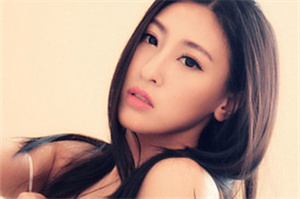 上海各区新茶工作室：Leadership and Teamwork： An Objective Analysis of the Shanghai Movement